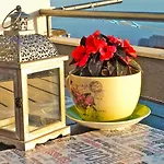 Apartman Rock Palace